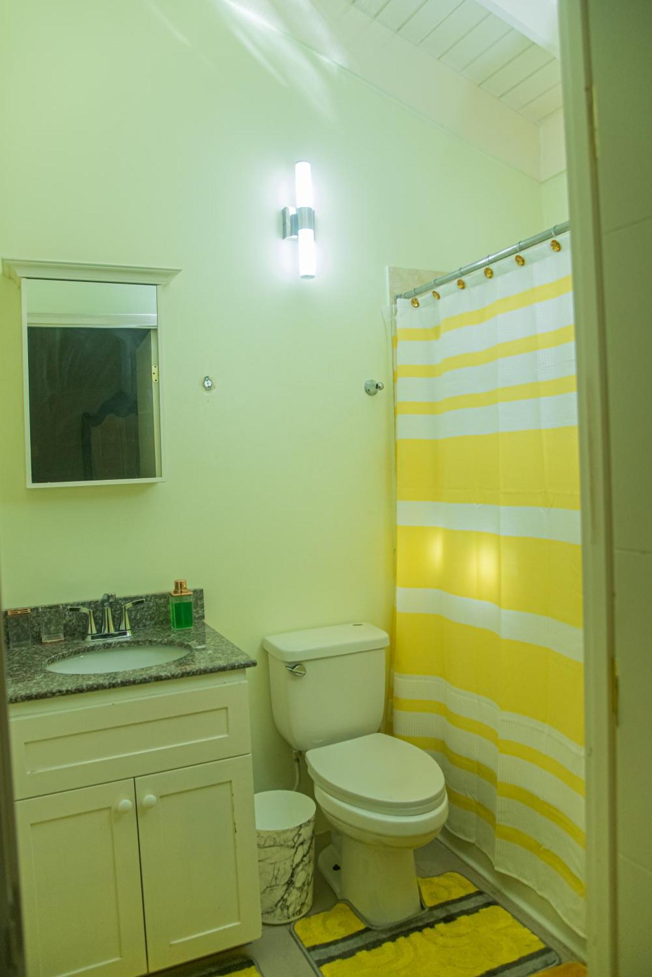 Paradise Villa: Dual Properties with Private Pool and Gym Ocho Rios Exterior photo